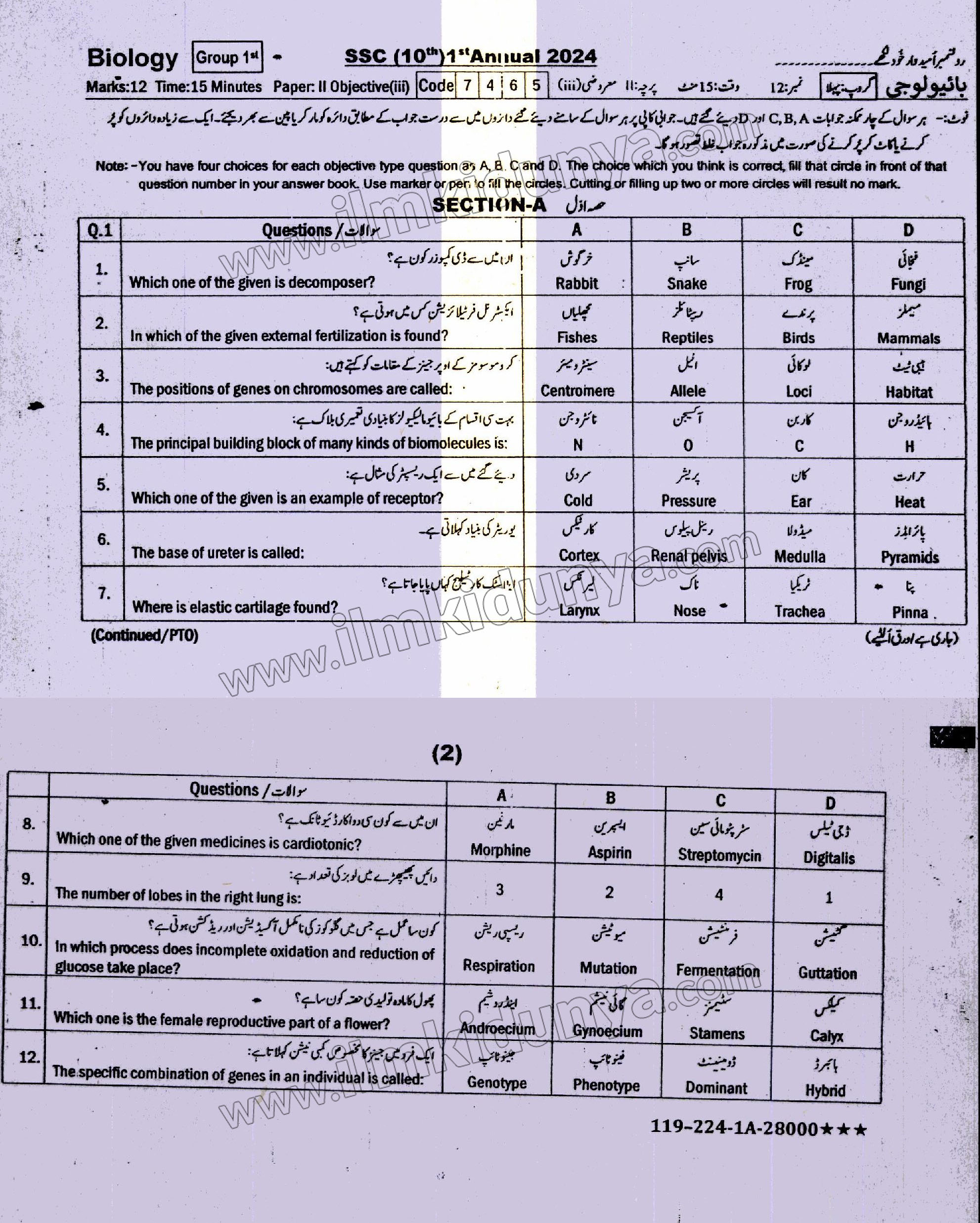 Paper Image